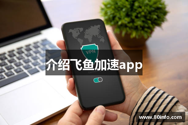 介绍飞鱼加速app